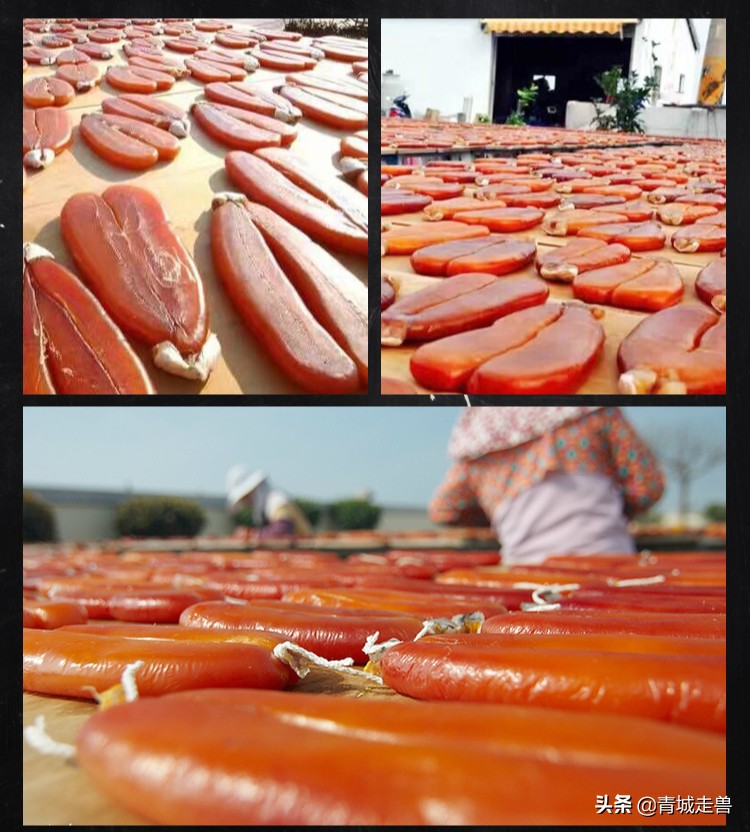 补钙补锌促发育,儿童生长缓慢什么食物补钙最好