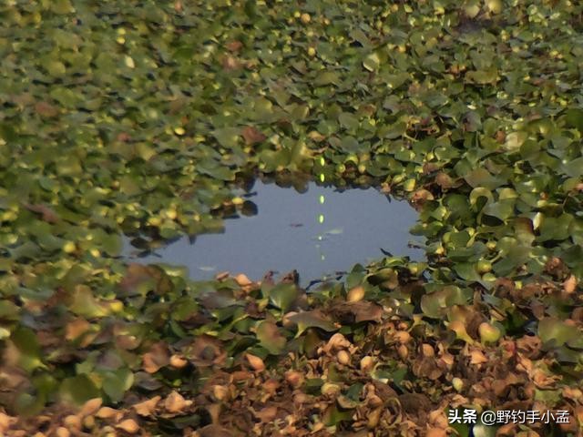 台钓手法,抬竿如何逗钓