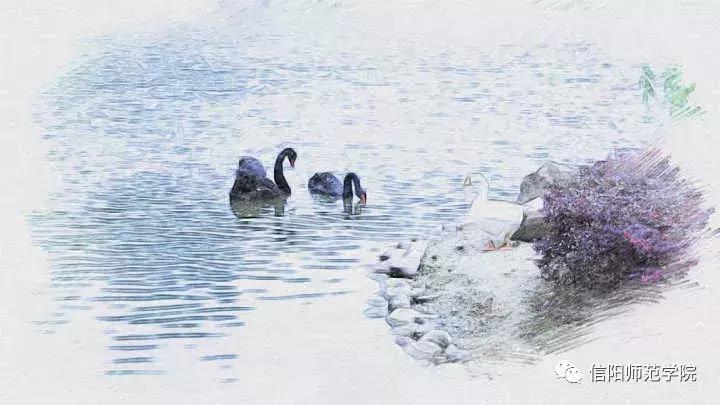 信阳师范学院美术学院,手绘信阳师院