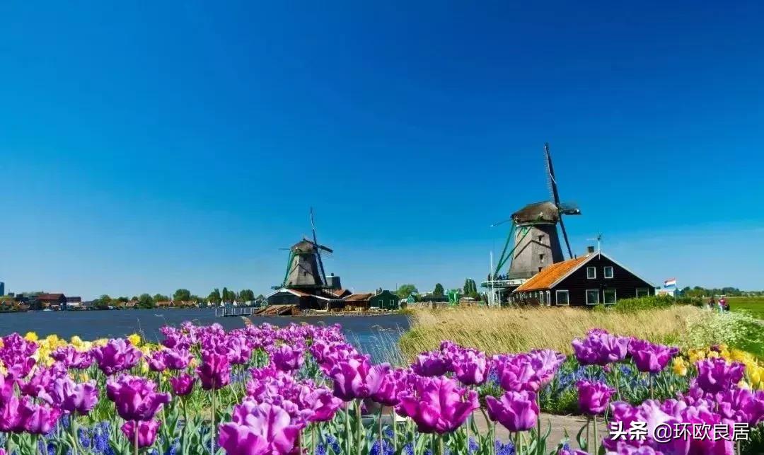 荷兰退税福利有哪些,荷兰福利好吗