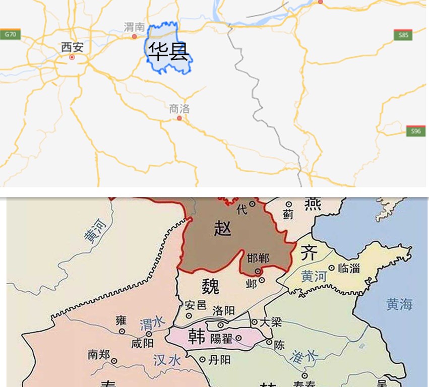 猫起源于中国还是起源于欧洲,猫起源与进化的区别