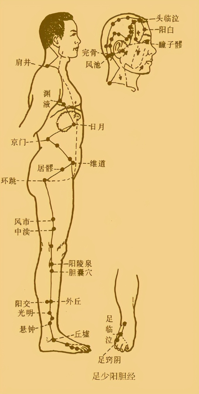 简述少阳病辨证要点,少阳病的讲解
