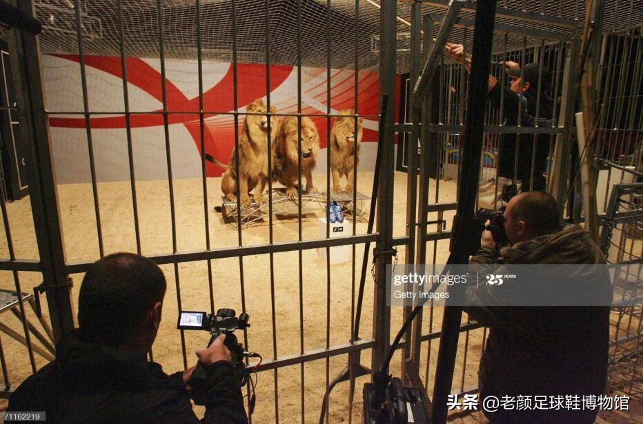 小贝当年多风光，三个儿子都穿德产定制鞋，球鞋广告动用百兽之王