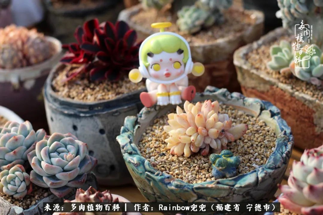 岁月无波澜余生不悲欢是啥意思,愿你岁月无波澜敬我余生无悲欢