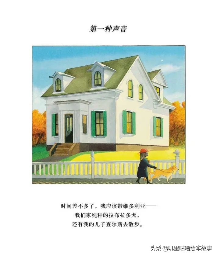 安东尼布朗儿童绘本合集,安东尼布朗出品的绘本有哪些