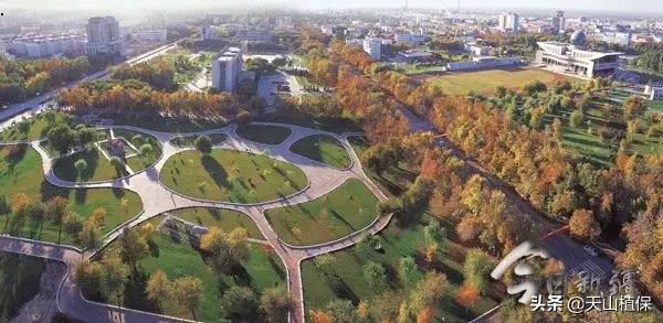 上榜啦！*疆新**鸟市和石市即将被国家命名！未来发展不可估量