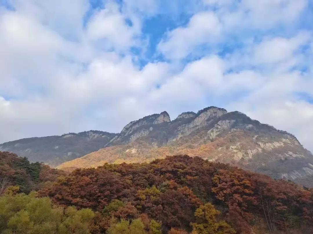 天下英雄非我莫属,天下英雄莫敢当