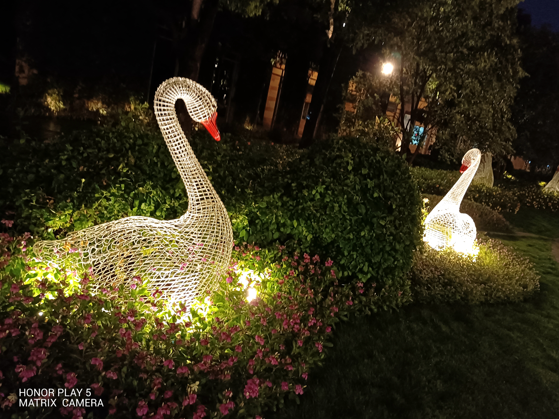 荣耀play5快充66w,荣耀play5活力版5g怎么样