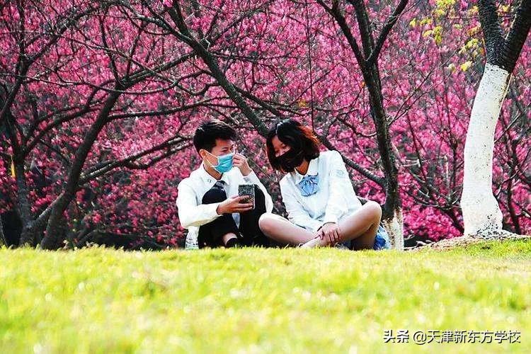 天津好消息今天,天津所有的免费景点博物馆