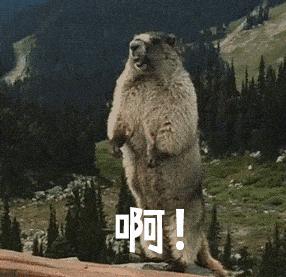 退出支付缴费通道停机断网充话费,停机断网还可以交话费吗