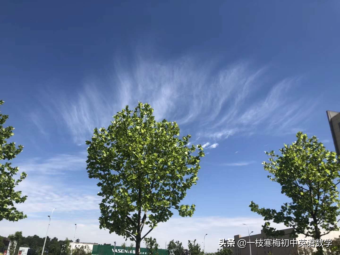 2020年高考英语考纲词汇通关,2019英语考纲词汇