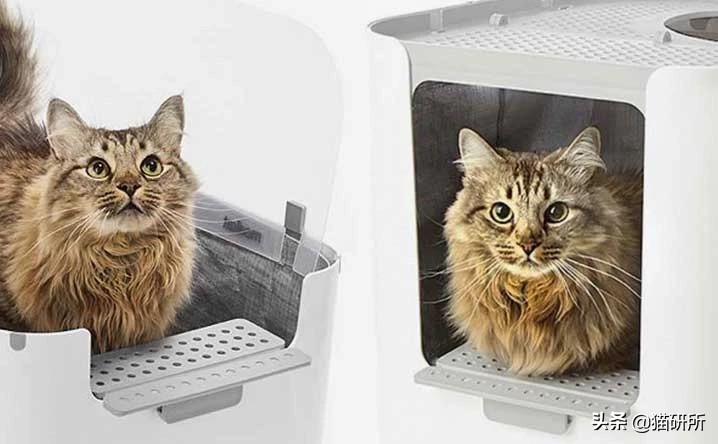 铲屎官猫砂推荐,猫砂推荐铲屎官必备