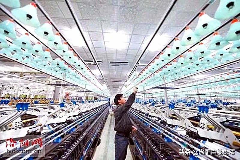「经典洛阳」共和国长子的前世今生：（一）洛阳棉纺织厂