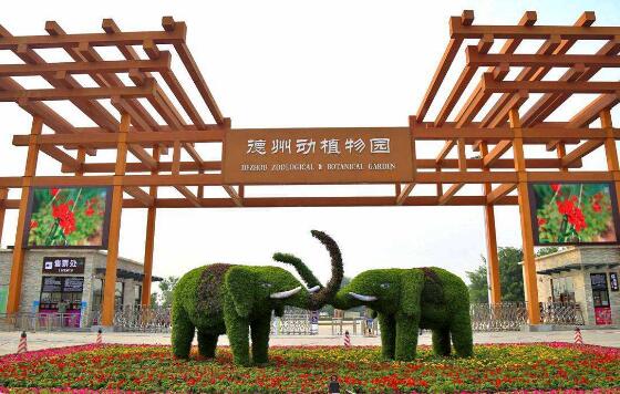 德州好玩的地方排行榜前十名,德州旅游攻略景点必去最新