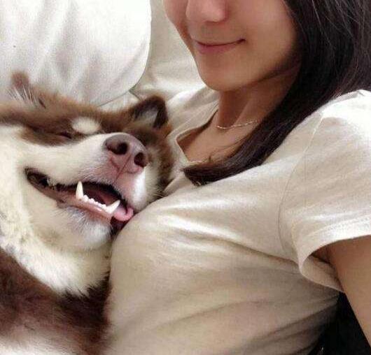 哈弗全新车上市,哈弗新车正式命名