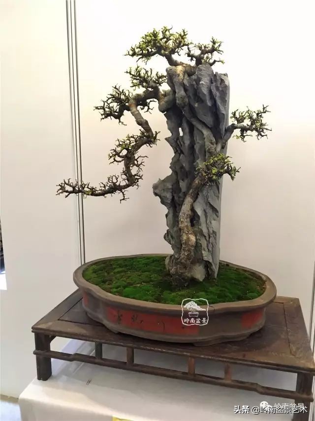 鎮礀缁濆閫㈢敓,鎮礀鐩嗘櫙澶у叏