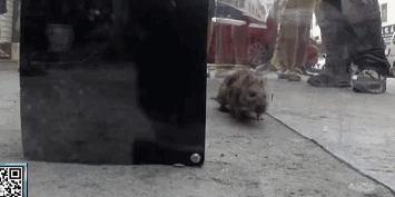 手搓潜水艇,手搓遥控潜艇