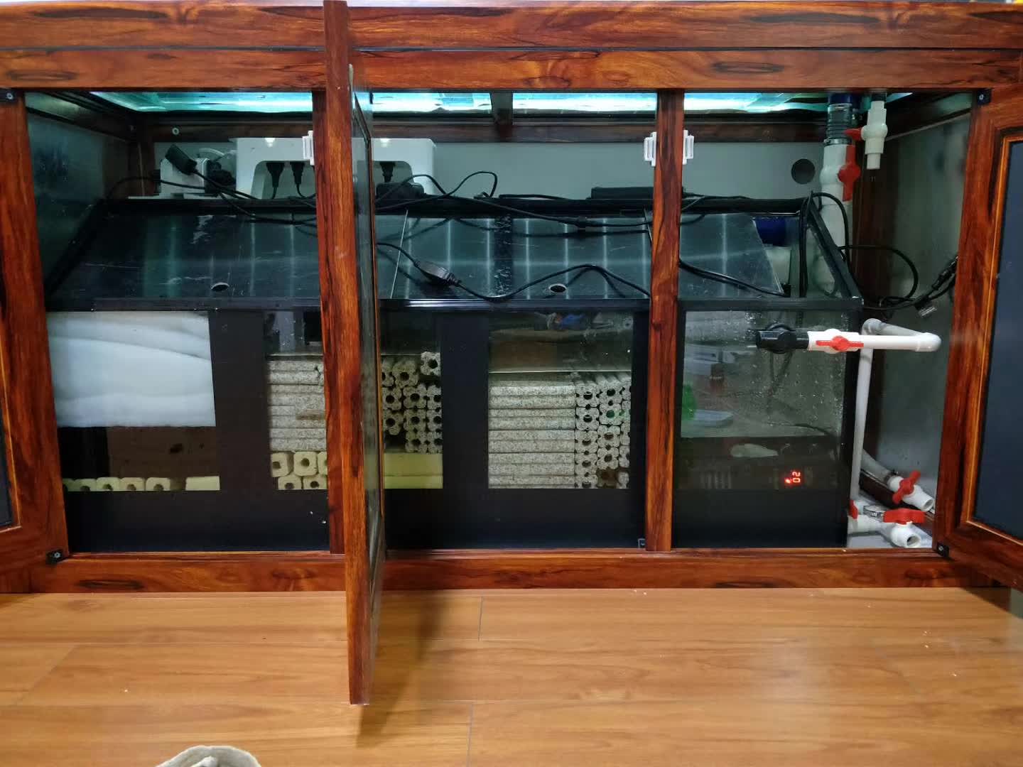 渔友张哥小视频,新鱼缸养锦鲤鱼正确的方法和技巧