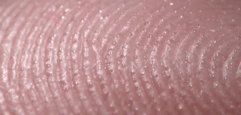 测灵魂有多重怎么测,科学家测试灵魂是否存在