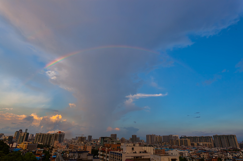 一楼带院子的房子能不能买？住过一楼的业主，告诉你该不该买