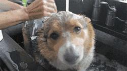 南方人洗澡搓泥吗,南方人洗澡为什么搓不出泥