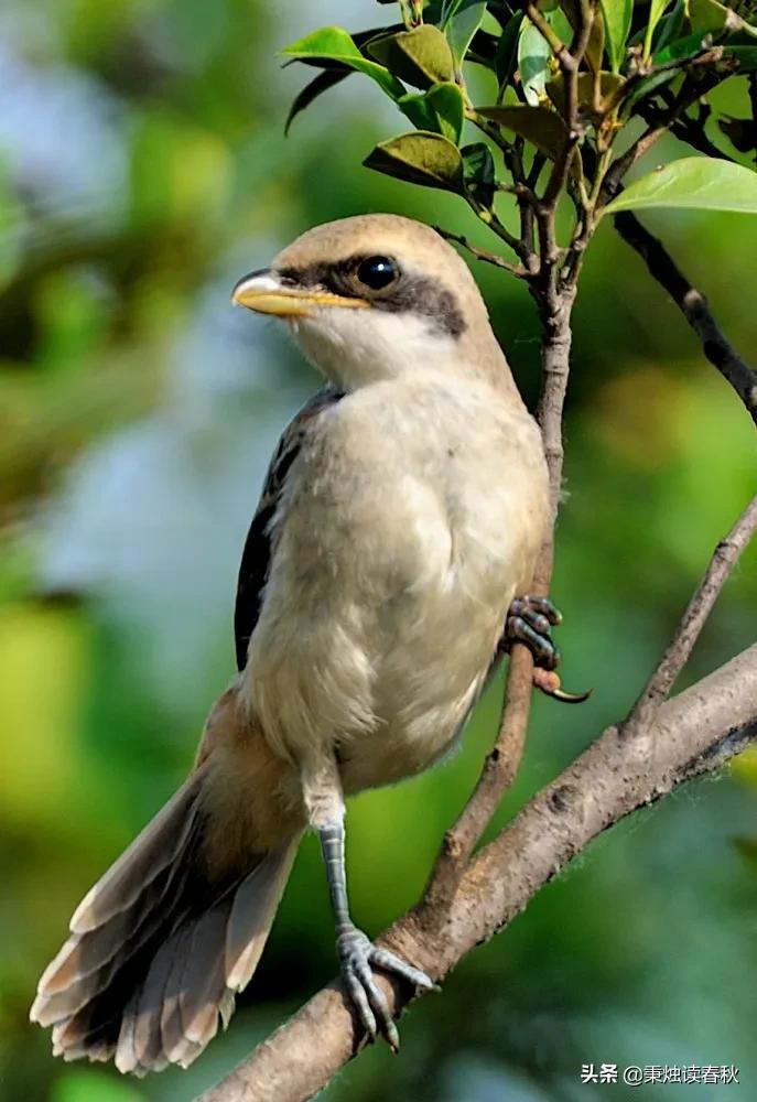 老话说穷不走亲富不还,家富不养老相好什么意思
