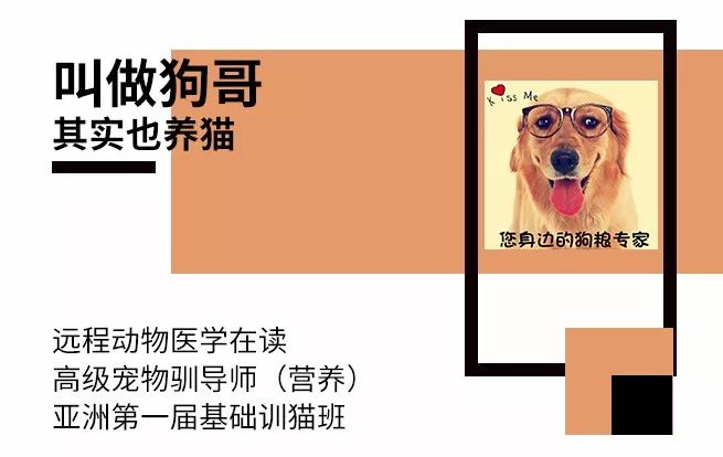 猫狗夏天会热中暑吗,中暑怎么刮痧中暑的急救小妙招