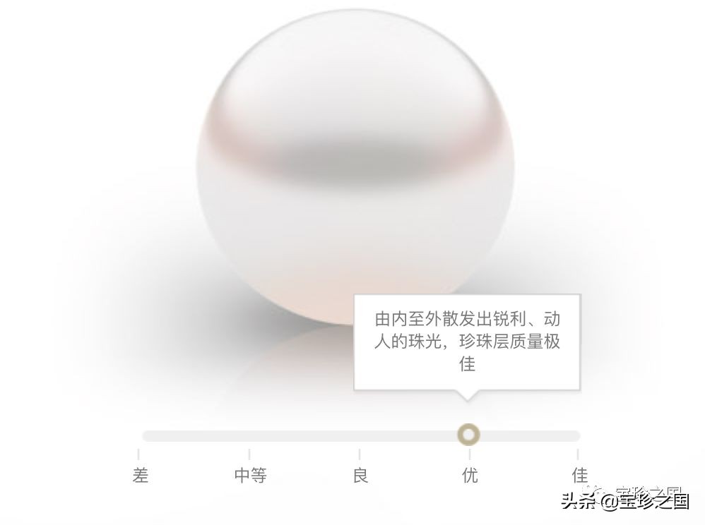 智识珍珠07|南洋白珠：珍珠界的“禁欲系”代表