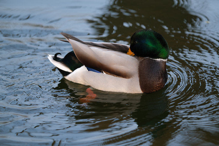 富士xt3有哪些变焦镜头推荐,富士x-t30xc35套机拍照