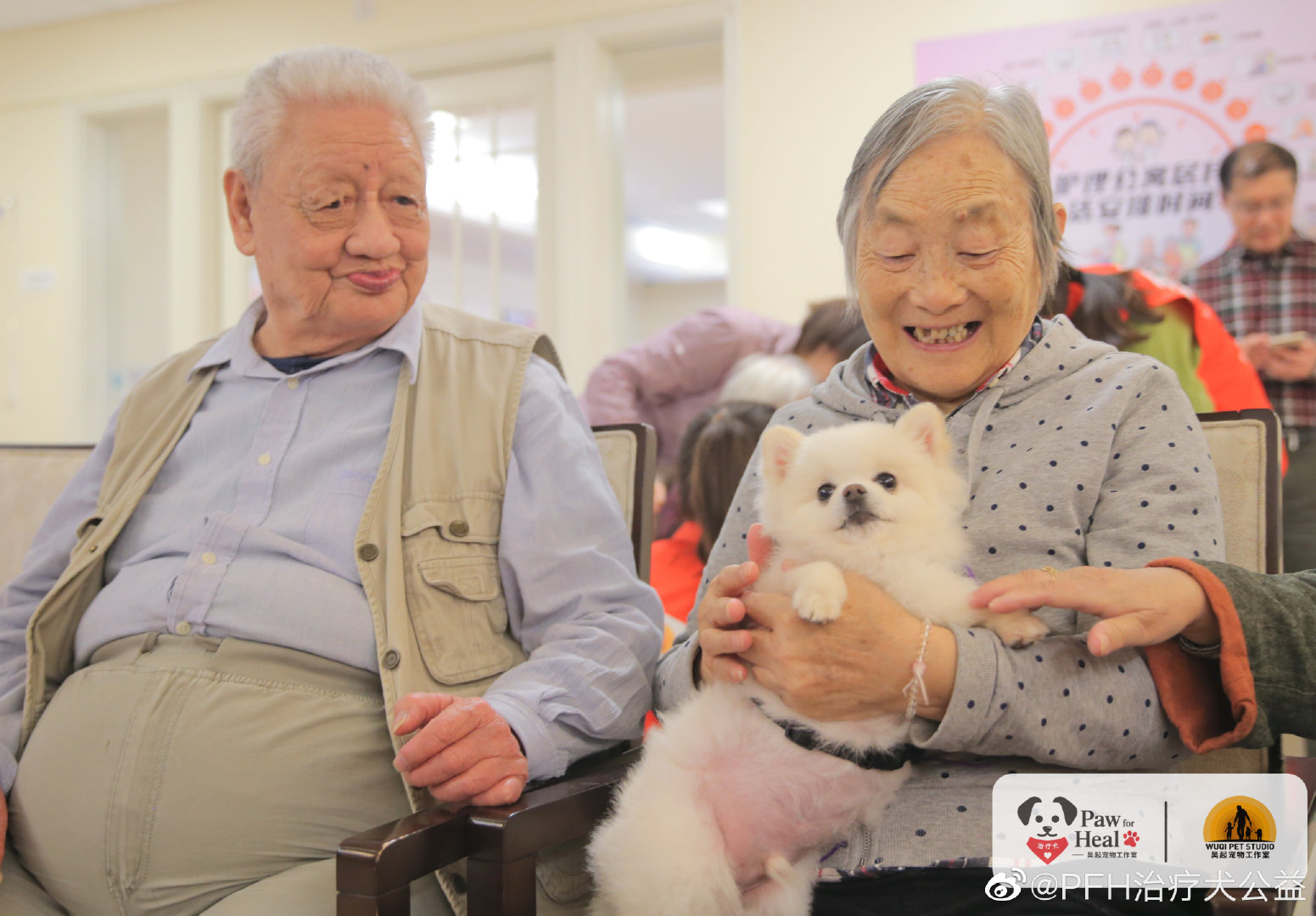 治疗犬到底是怎样的群体？我们的狗狗都能成为治疗犬吗?