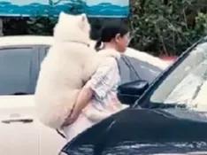 经常跟狗亲密接触能得病吗,人和狗亲密接触会传染细菌吗