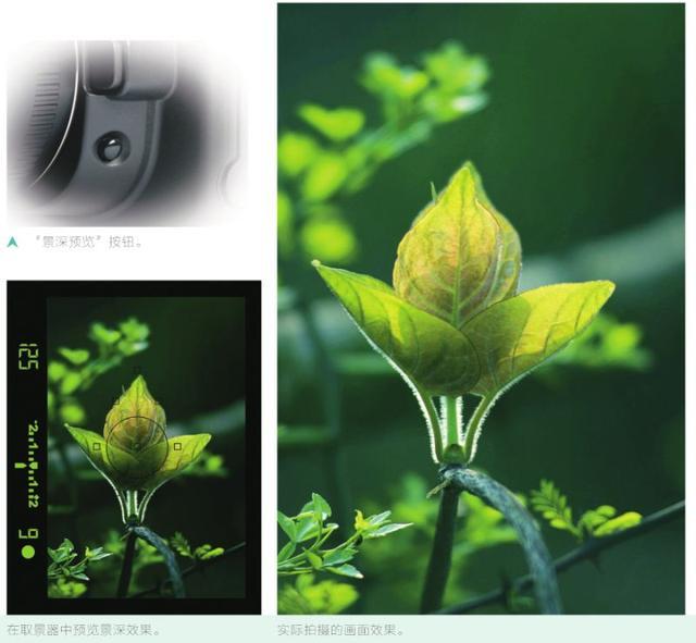 摄影基础中对景深的理解,摄影景深详解教程