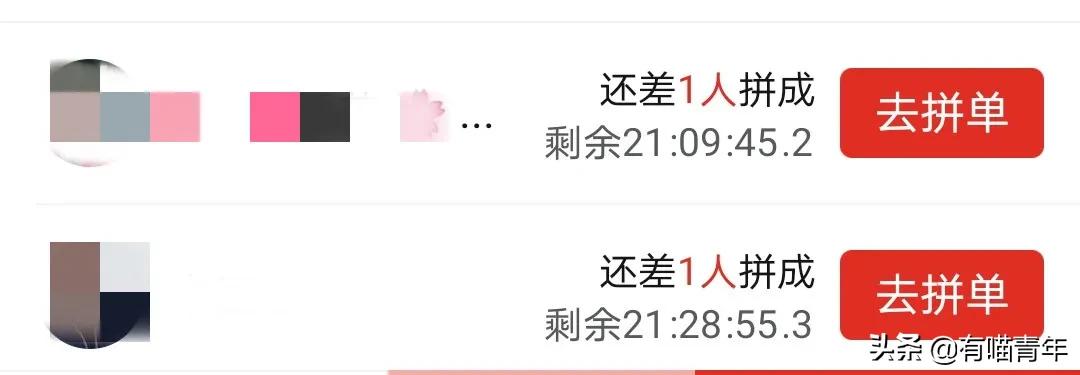 pdd买猫和老鼠,pdd两百买的猫