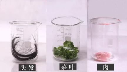 一家人经历了苦难但依然幸福,一家人经历种种磨难