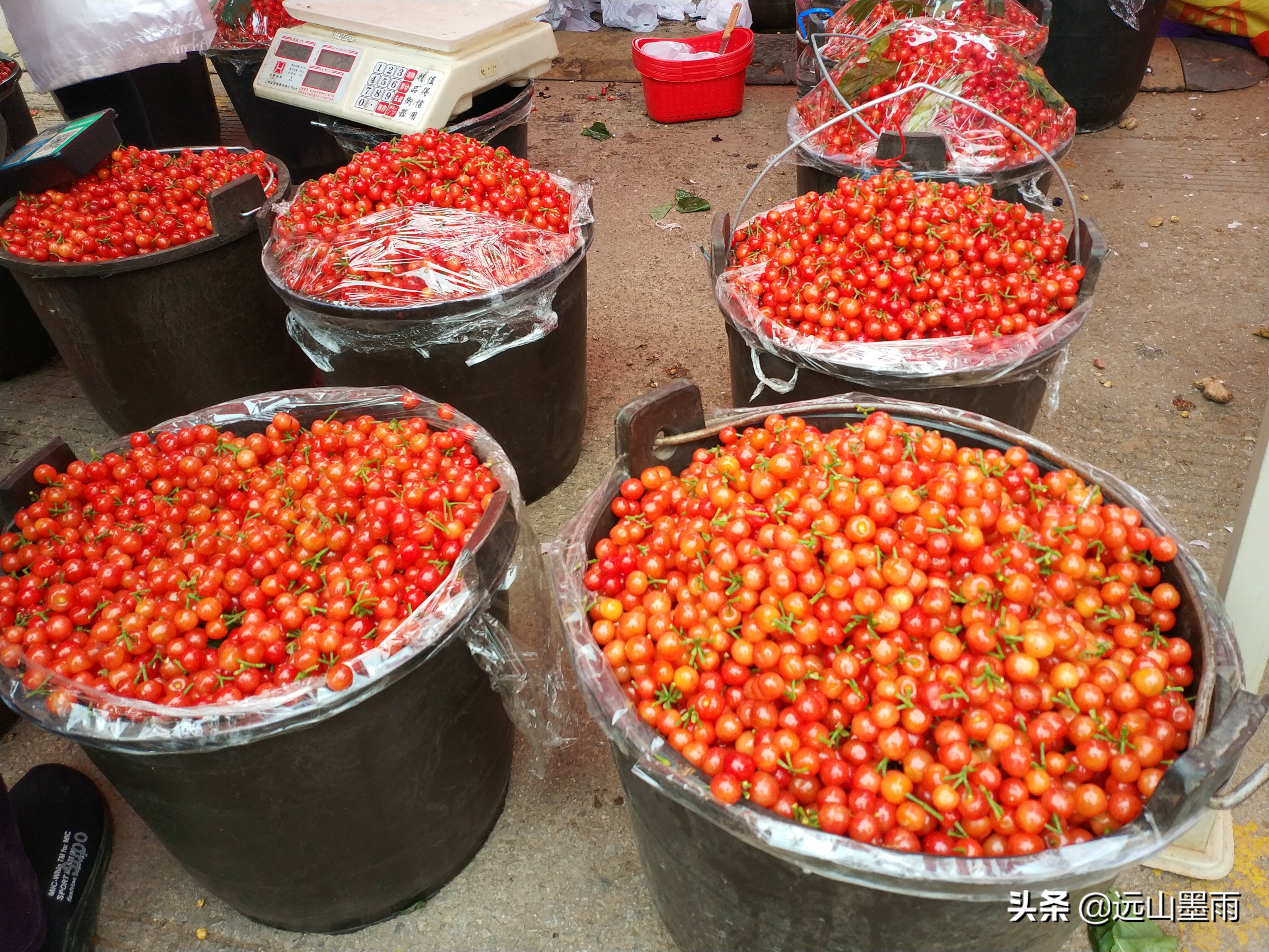 昆明东三环北苑市场今天赶集了吗,昆明东三环北苑街赶集