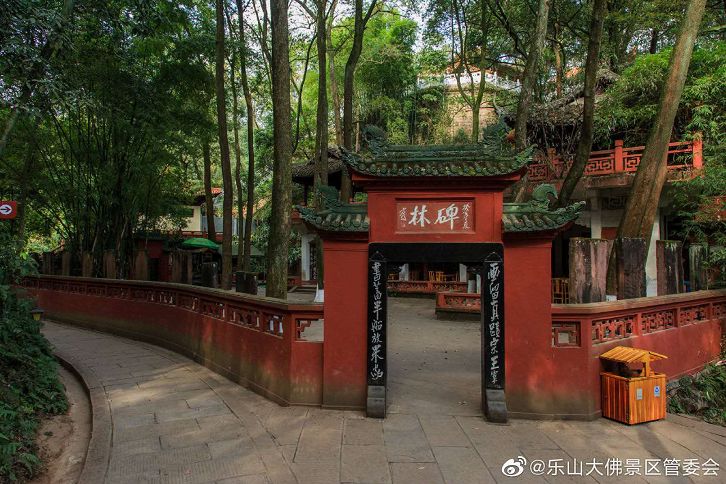 大年初一云游乐山大佛,观光乐山大佛