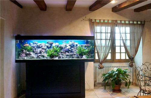 朝西的房子风水好不,房子朝西的风水好吗