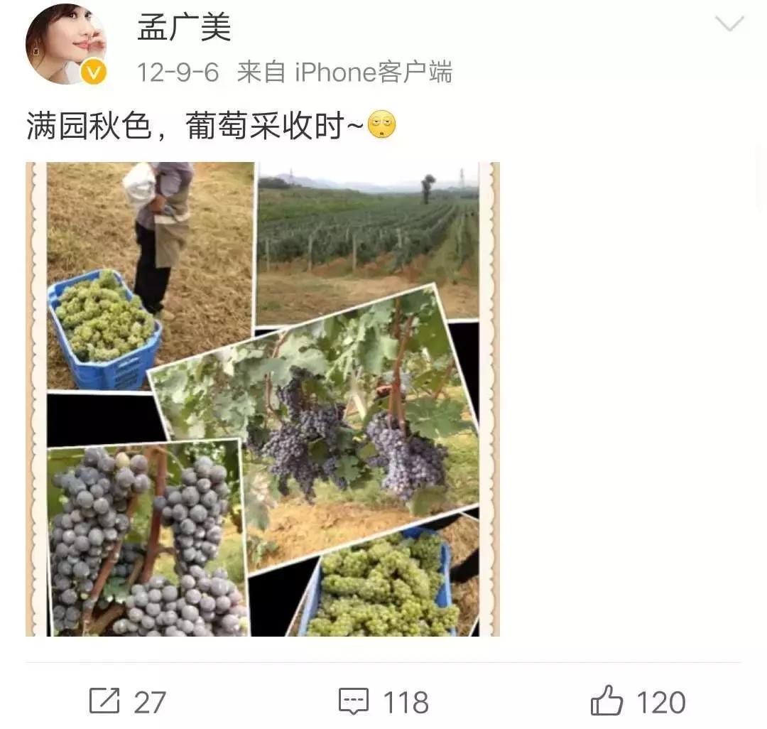 戏里杀气腾腾，戏外得富豪偏爱，被骗4个亿的她，如何卷土重来？