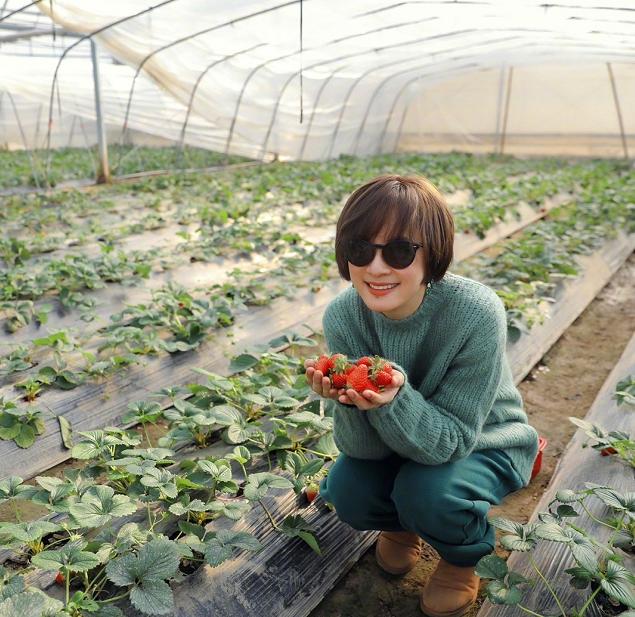 邓超带孙俪坐三轮,邓超带孙俪骑电动车