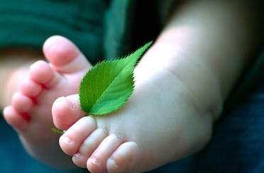 封针治疗脑瘫争议,封针治脑瘫医德何在