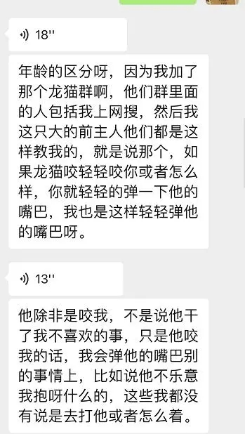 龙猫用力打会死吗,龙猫拼命