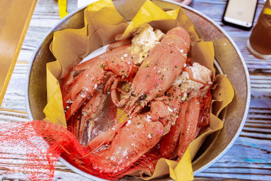 迪拜喷泉旅游攻略,迪拜水族馆游玩攻略