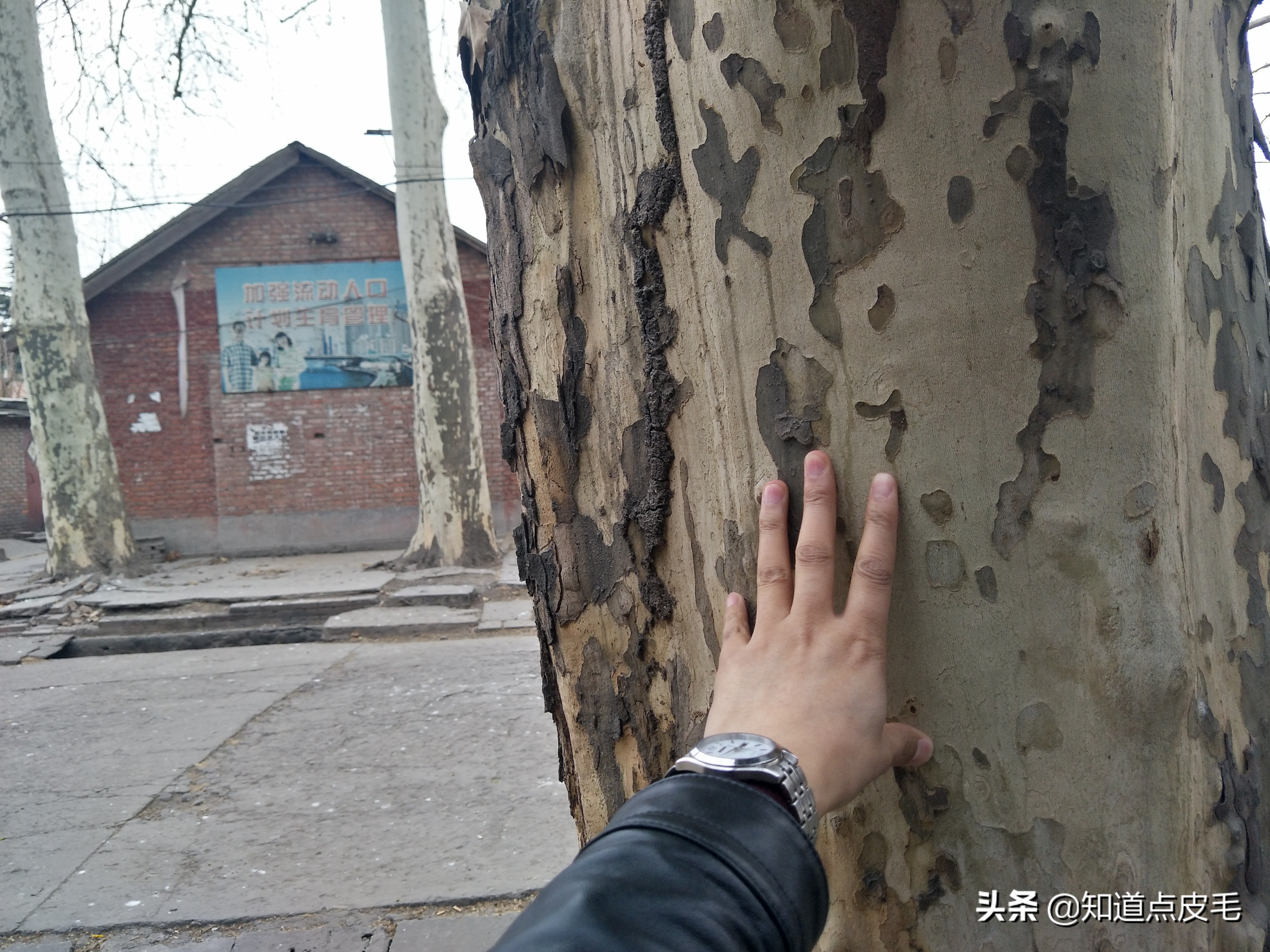 童年的回忆农村,童年的回忆维吾尔族