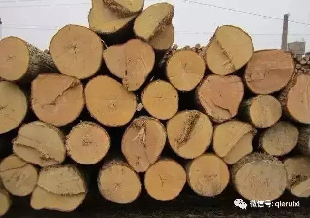 十种实木家具木材,各类实木家具介绍