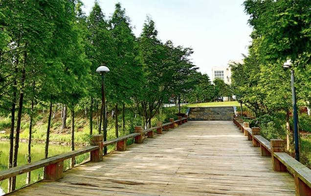 今年录取分数暴冷的三所大学,中国最扎心的211大学