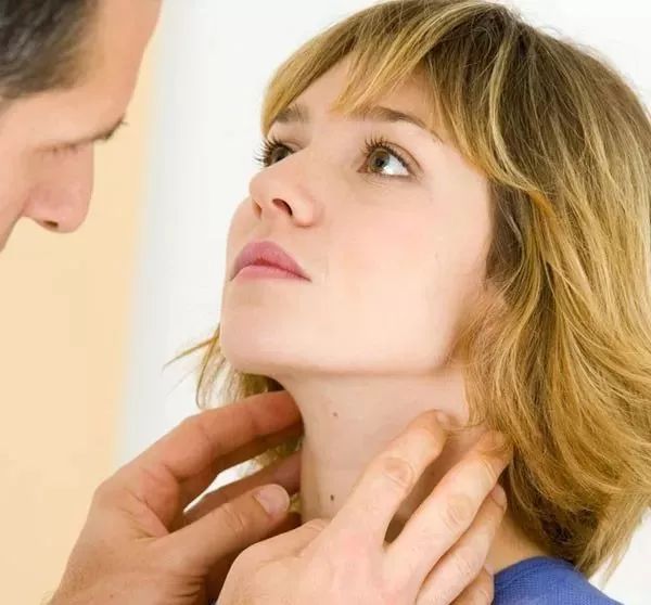 辟谣:养猫会得猫抓热?猫抓热到底是什么病?你家猫咪患上了吗?