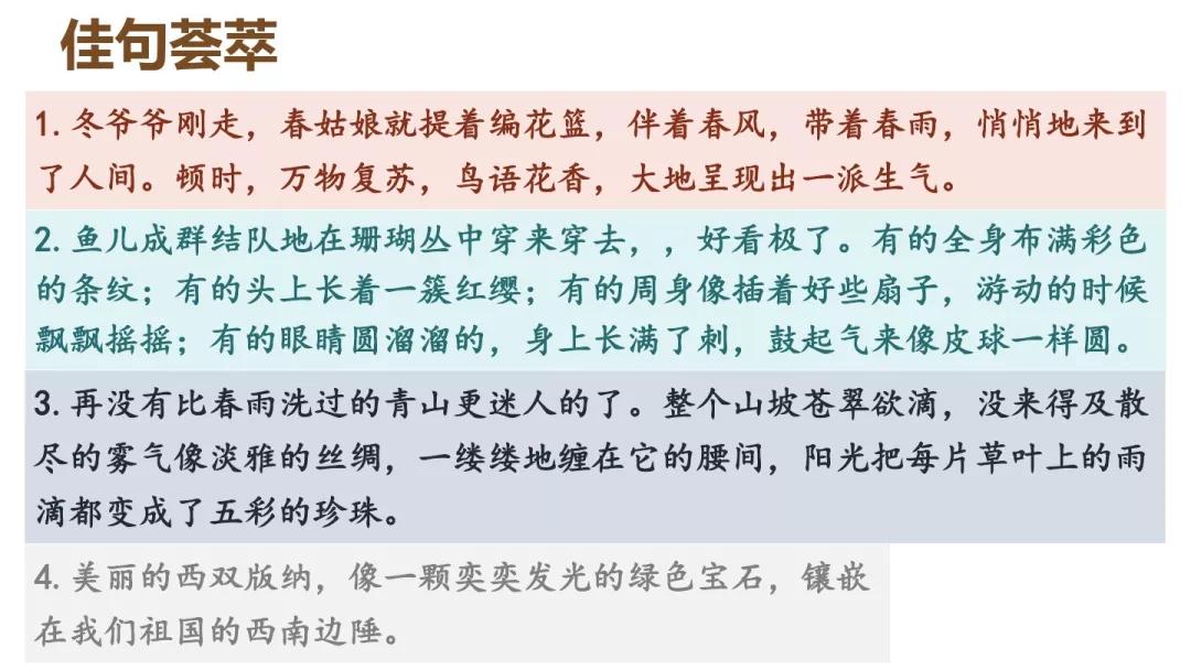 三年级作文这儿真美300个字怎么写,这儿真美优秀范文300字作文三年级
