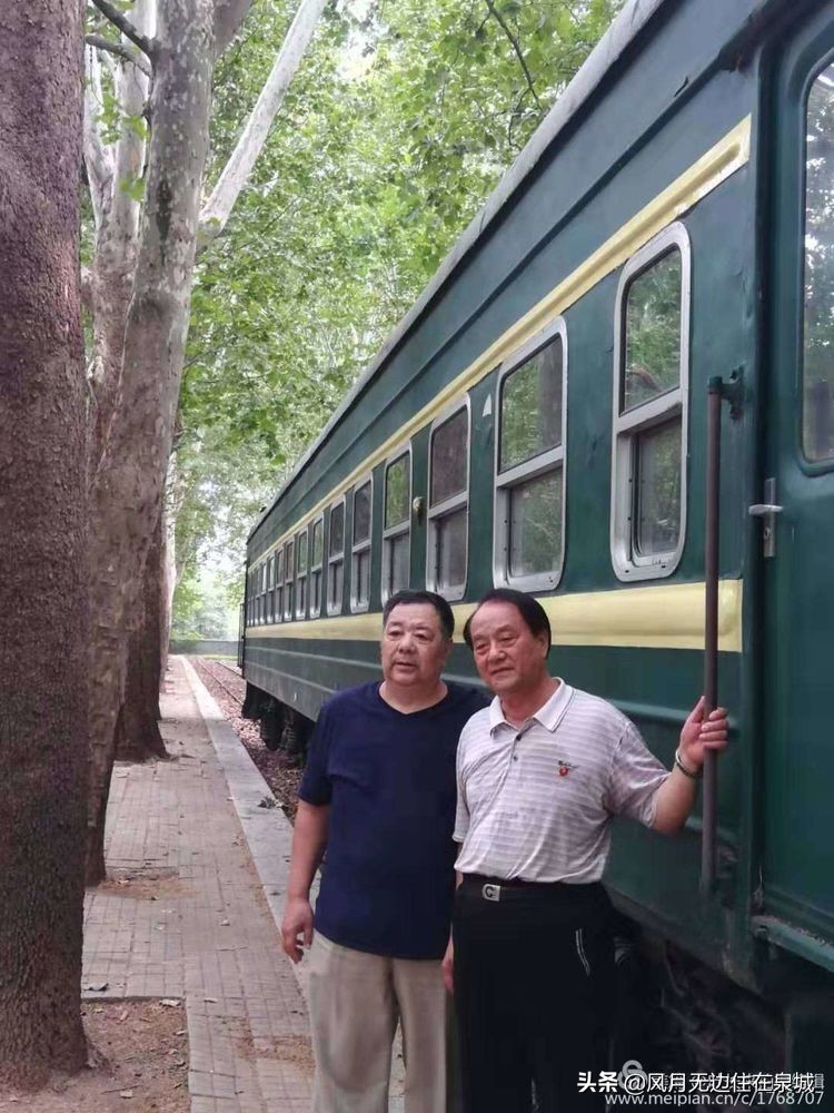 济南的法国梧桐,济南梧桐树美景