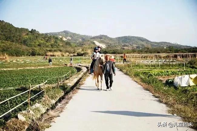 惠州海边旅游攻略最新,一言不合就旅行