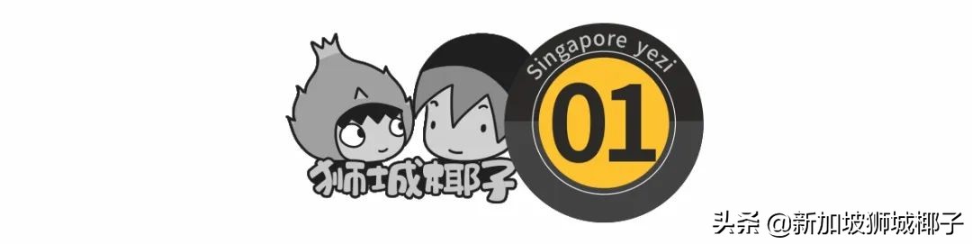 新加坡本土品牌有哪些,原来这些都是洋品牌